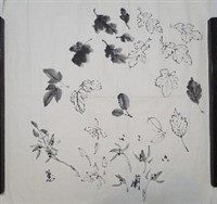 藏品(畫蘭菊示範)的圖片