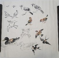 藏品(畫鳥示範)的圖片