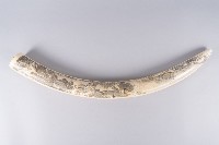 藏品(清明上河圖)的圖片