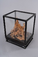 藏品(古松亭)的圖片