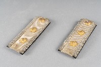 藏品(臺灣總督府金色肩章(對))的圖片