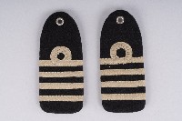 藏品(肩章)的圖片