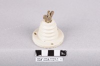藏品(船用無線電天線絕緣配件)的圖片