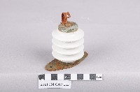 藏品(船用無線電天線絕緣配件)的圖片