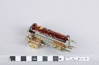 藏品(繼電器)的圖片