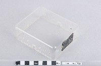 藏品(繼電器透明外罩)的圖片