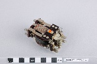 藏品(MC繼電器)的圖片