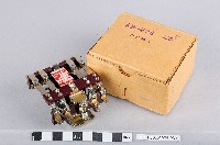 藏品(繼電器)的圖片