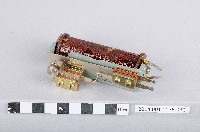 藏品(繼電器)的圖片