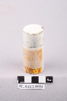 藏品(存放摩斯堡實驗碳57之鉛筒)的圖片