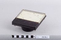 藏品(電壓表)的圖片