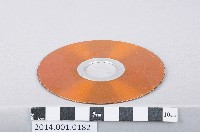 藏品(鑽石切片)的圖片