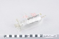 藏品(真空管)的圖片