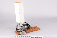 藏品(自行改造的實驗光源)的圖片