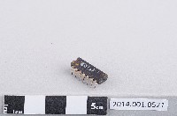 藏品(積體電路)的圖片