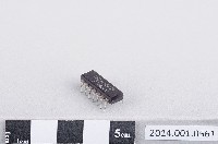 藏品(積體電路)的圖片