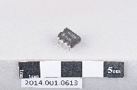 藏品(積體電路)的圖片