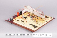 藏品(萬用板)的圖片