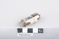 藏品(真空管)的圖片