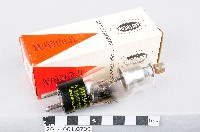 藏品(真空管)的圖片