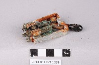 藏品(繼電器)的圖片