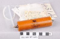 藏品(電阻)的圖片