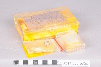 藏品(高純度矽)的圖片