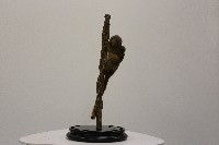 藏品(倭狨標本)的圖片