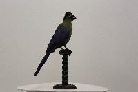 館藏編號:2016.001.0035的藏品圖
