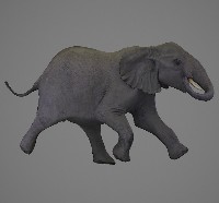 藏品(大象模型)的圖片
