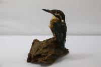 館藏編號:2016.001.0060的藏品圖