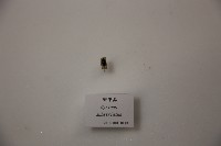 藏品(豉甲蟲)的圖片