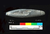 藏品(芝山岩文化兩縊型網墜)的圖片