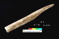 藏品(芝山岩文化角尖器)的圖片