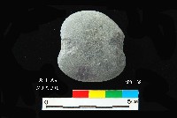 藏品(芝山岩文化砝碼型網墜)的圖片