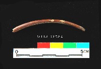 藏品(芝山岩文化獸肋骨)的圖片