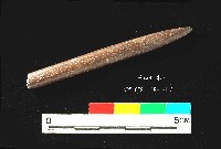 藏品(芝山岩文化骨尖器)的圖片