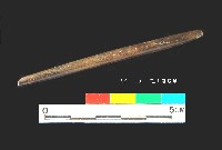 藏品(芝山岩文化骨尖器)的圖片