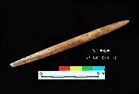 藏品(芝山岩文化骨尖器)的圖片