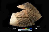 藏品(芝山岩文化黑彩折腹器)的圖片