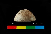 藏品(芝山岩文化陶紡輪)的圖片