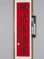 藏品(沈耀初行草《優游．恬澹五言對聯》)的圖片