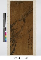 藏品(梅花)的圖片