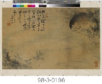 藏品(雙鯉圖)的圖片