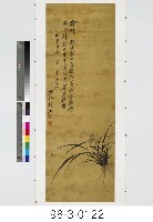 藏品(蘭花)的圖片