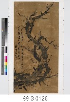 藏品(墨梅)的圖片