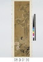 藏品(花鳥)的圖片