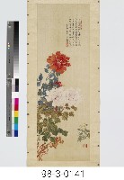 藏品(牡丹)的圖片