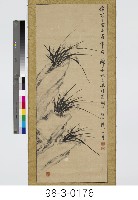 藏品(墨蘭)的圖片