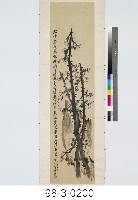 藏品(梅花)的圖片